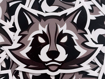 RaccoonBox Logo